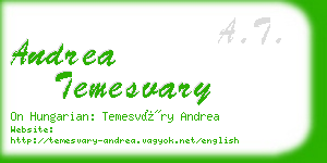 andrea temesvary business card